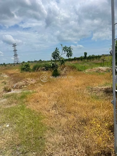 2 lô đất vườn ấp Lộc Trung, xã Hưng Thuận, thị xã Trảng Bàng, Tây Ninh