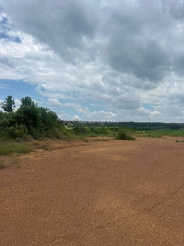 🌿 CẦN BÁN 8,5 HA ĐẤT MẶT TIỀN SÔNG LỚN – GIÁ 75 TỶ