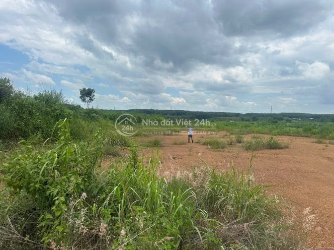 🌿 CẦN BÁN 8,5 HA ĐẤT MẶT TIỀN SÔNG LỚN – GIÁ 75 TỶ