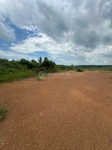 🌿 CẦN BÁN 8,5 HA ĐẤT MẶT TIỀN SÔNG LỚN – GIÁ 75 TỶ