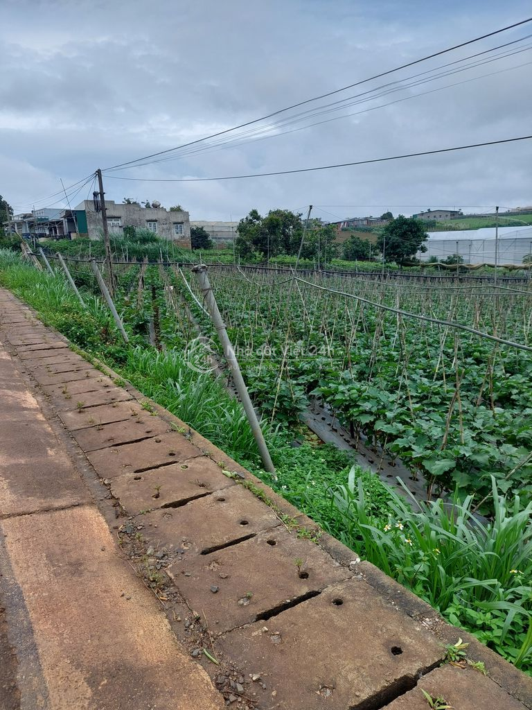 Mặt tiền , xã Ka Đơn, huyện Đơn Dương, Lâm Đồng