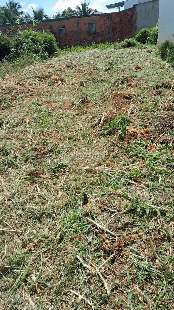 Đất thổ cư mặt tiền đường nhựa, cách QL14 chỉ ~30m – khu Hòa Khánh cũ.