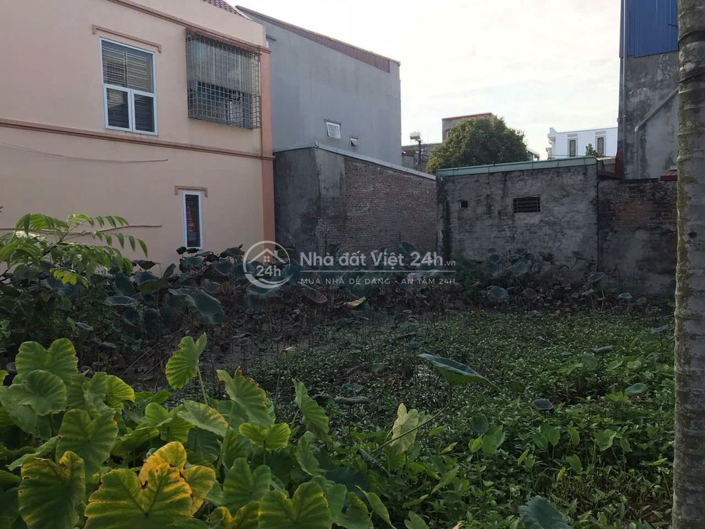 Cần bán đất ở Trang Quan , An Hải, Hải Phòng