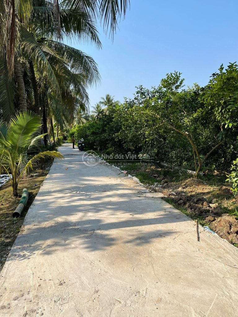Bán Đất Long Hưng, Tiền Giang, Đồng Tháp. 4,55mx 27,12m=124m đường ôtô