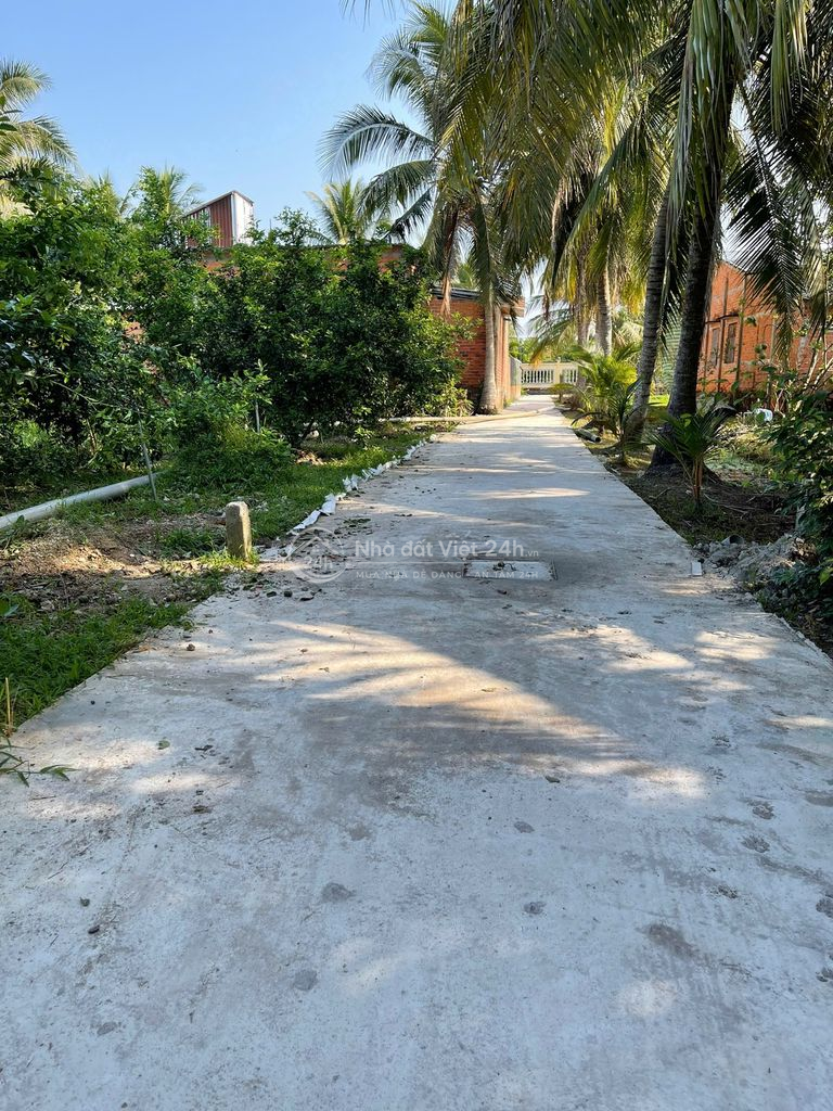 Bán Đất Long Hưng, Tiền Giang, Đồng Tháp. 4,55mx 27,12m=124m đường ôtô
