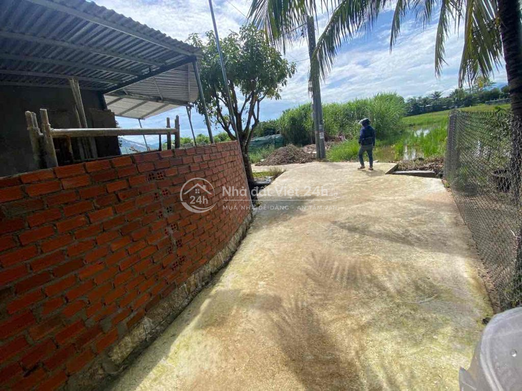 bán nhanh lô đất đẹp giá mềm tại Phường Ninh Hoà chỉ 399tr