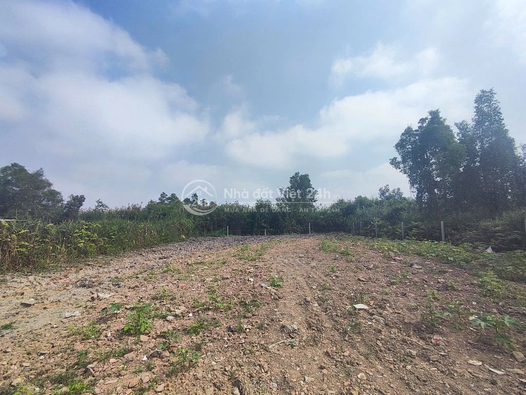Chính chủ cho thuê 21x97m 1/ TL10 Cách TL10 700m