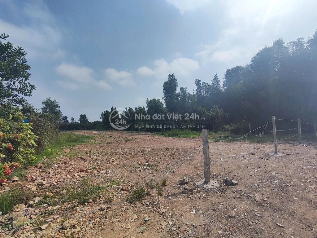 Chính chủ cho thuê 21x97m 1/ TL10 Cách TL10 700m