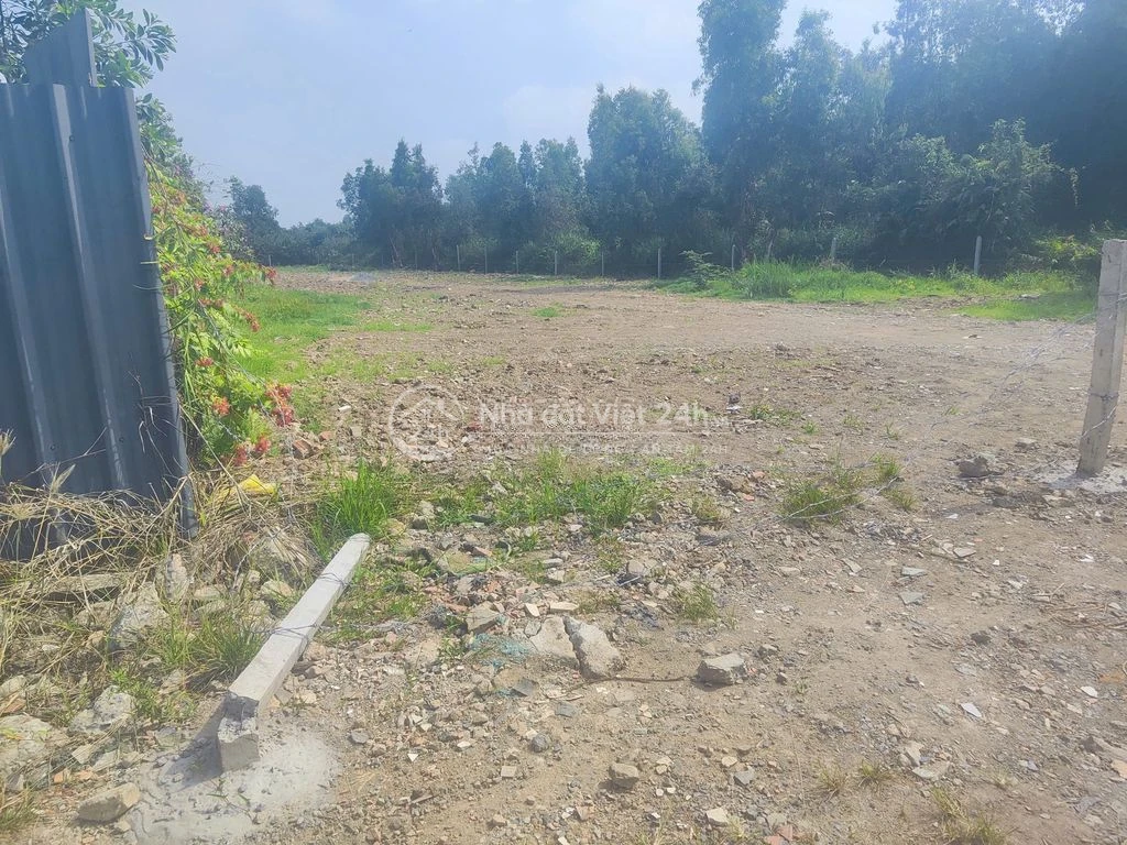 Chính chủ cho thuê 21x97m 1/ TL10 Cách TL10 700m