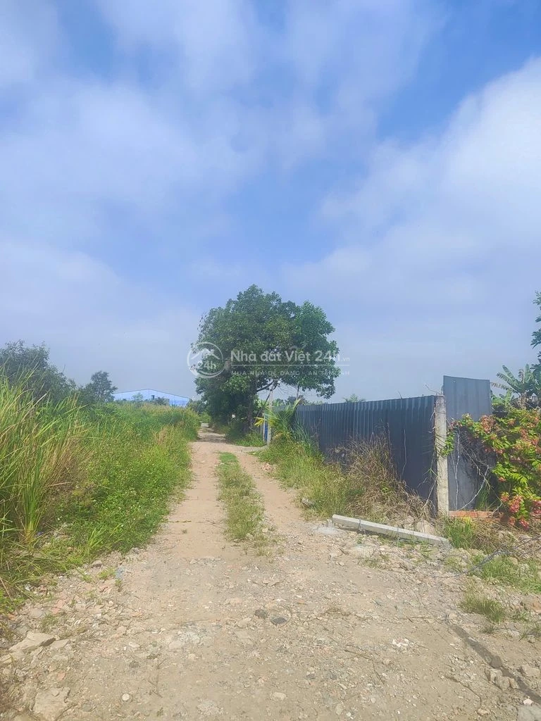 Chính chủ cho thuê 21x97m 1/ TL10 Cách TL10 700m