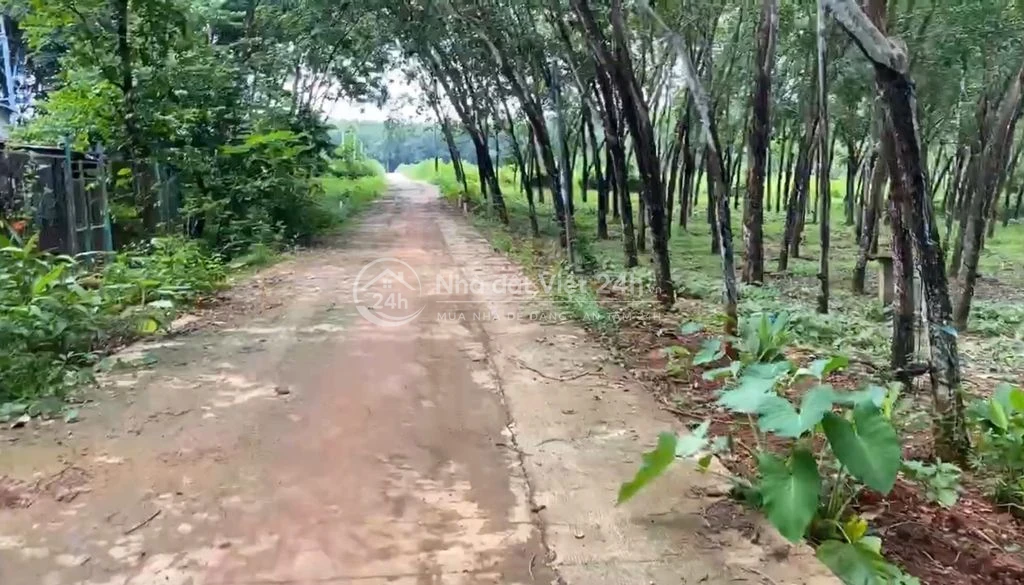 Bán 1 hecta đất có 400m2 TC 4 mặt tiền-CCN Bù Nho Phú Riềng - Đồng Nai