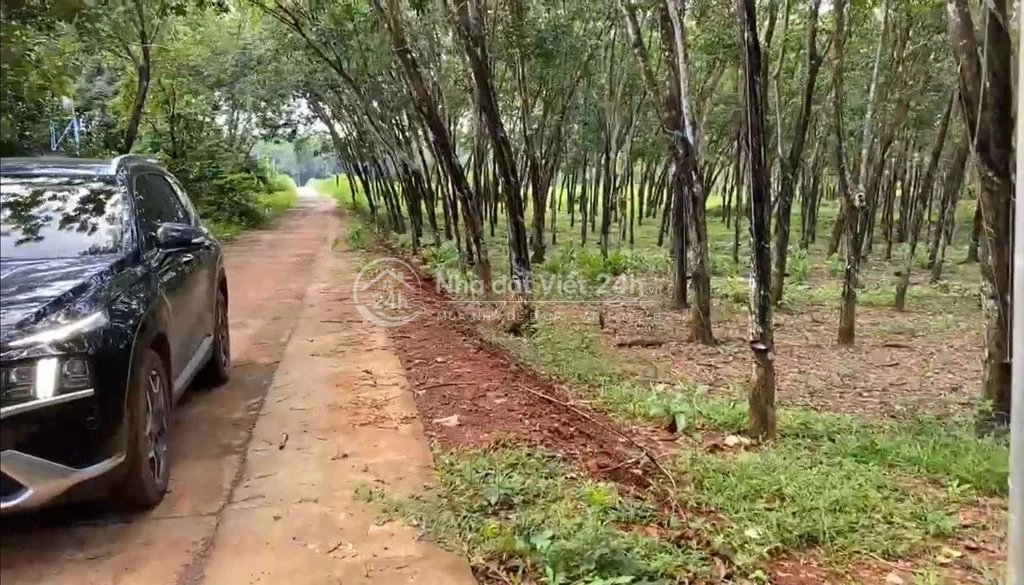 Bán 1 hecta đất có 400m2 TC 4 mặt tiền-CCN Bù Nho Phú Riềng - Đồng Nai