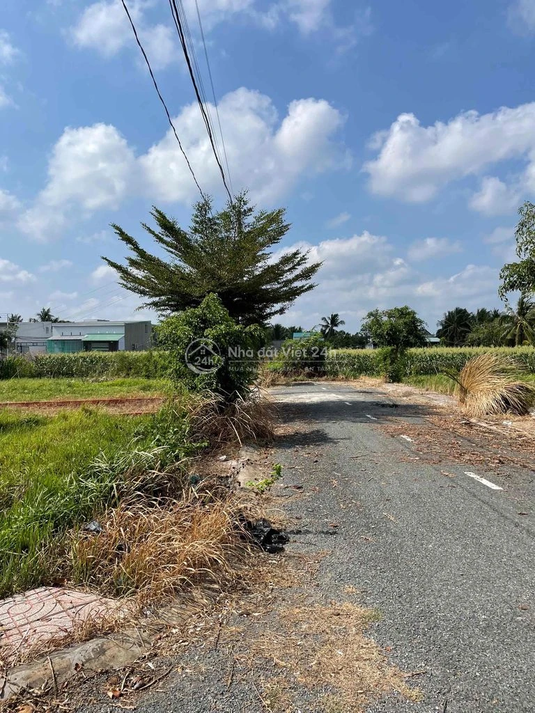 Đất Thổ cư sau Khu Công Nghiệp Tân Hương