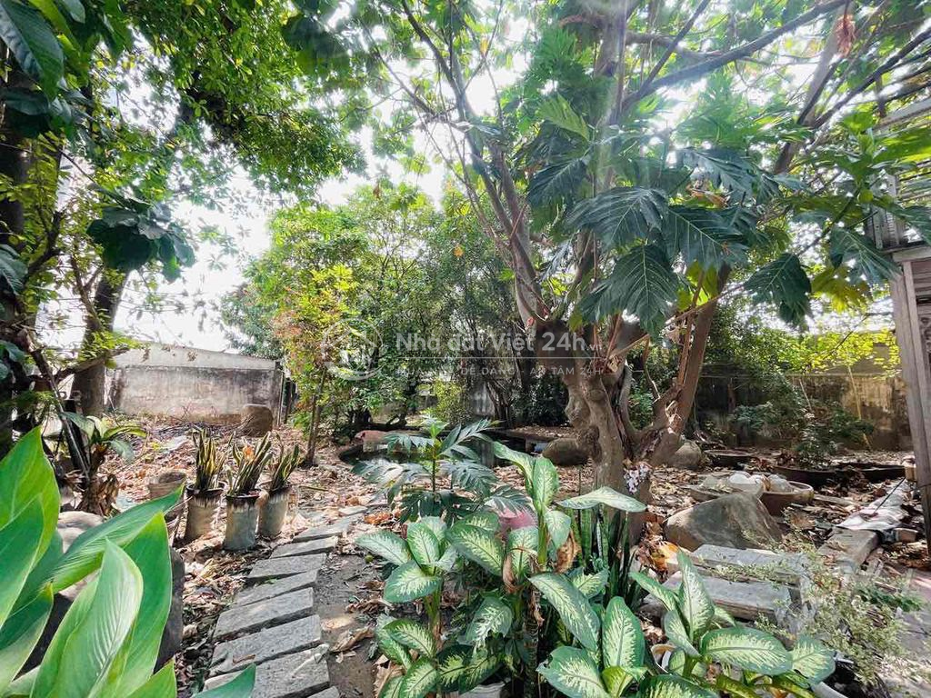 Cho Thuê Biệt Thự (1.300m2) Mặt Tiền Sông Đồng Nai - Bờ Kè Mới- 45tr