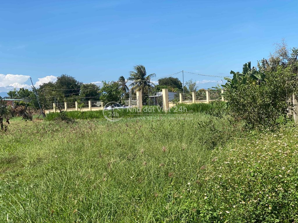đất phước thiện siêu đẹp siêu rẻ