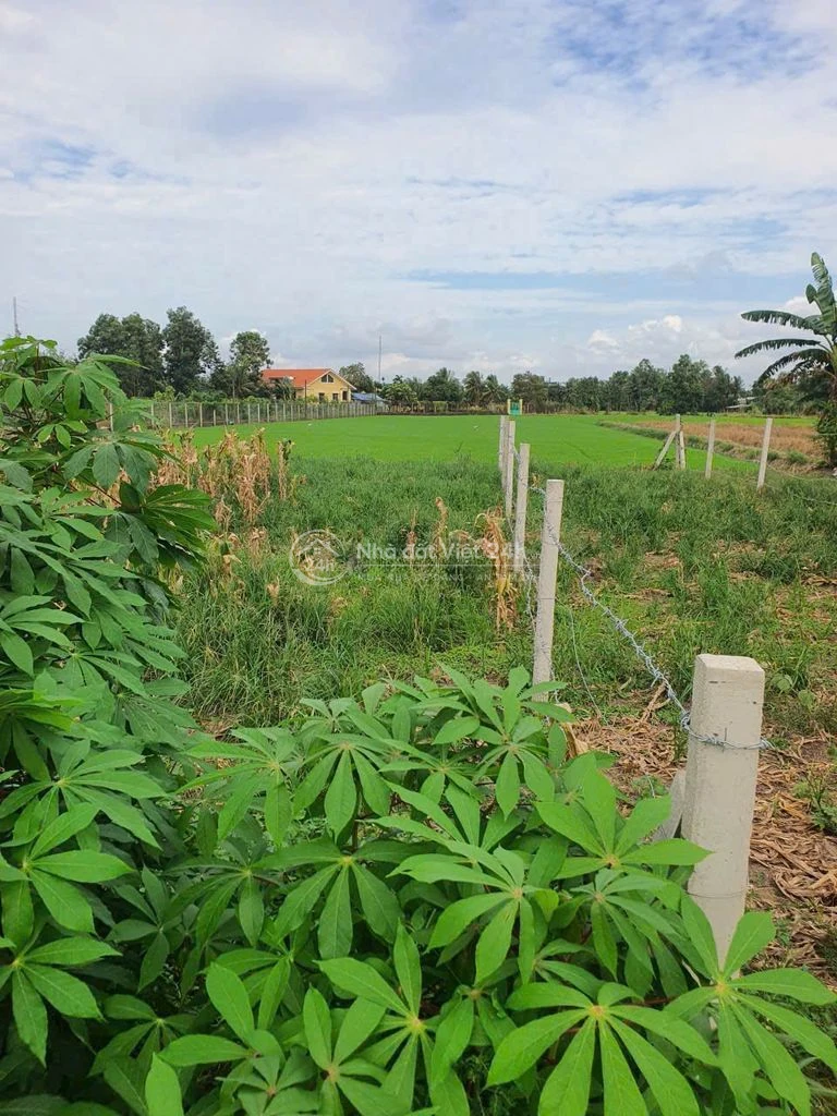 [CHÍNH CHỦ]BÁN CẶP Nền SIÊU ĐẸP mặt tiền Ô TÔ 6M Nguyễn Viết Xuân