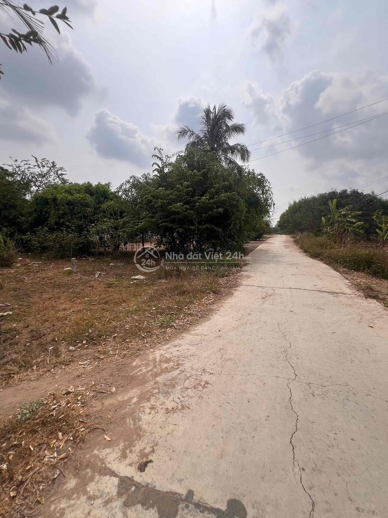 chỉ 1.155k/m2 đất đường bê tông oto tận nơi tại xã Tây Ninh Hoà
