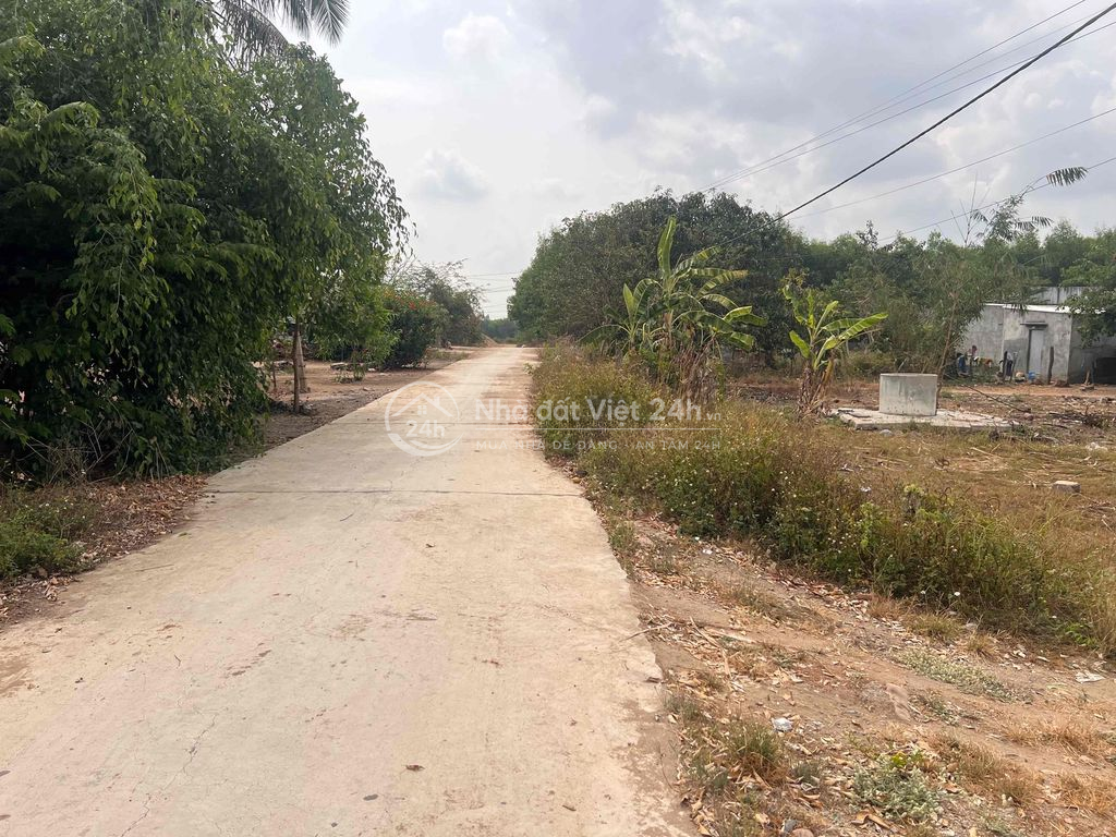 chỉ 1.155k/m2 đất đường bê tông oto tận nơi tại xã Tây Ninh Hoà