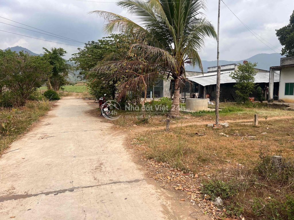 chỉ 1.155k/m2 đất đường bê tông oto tận nơi tại xã Tây Ninh Hoà