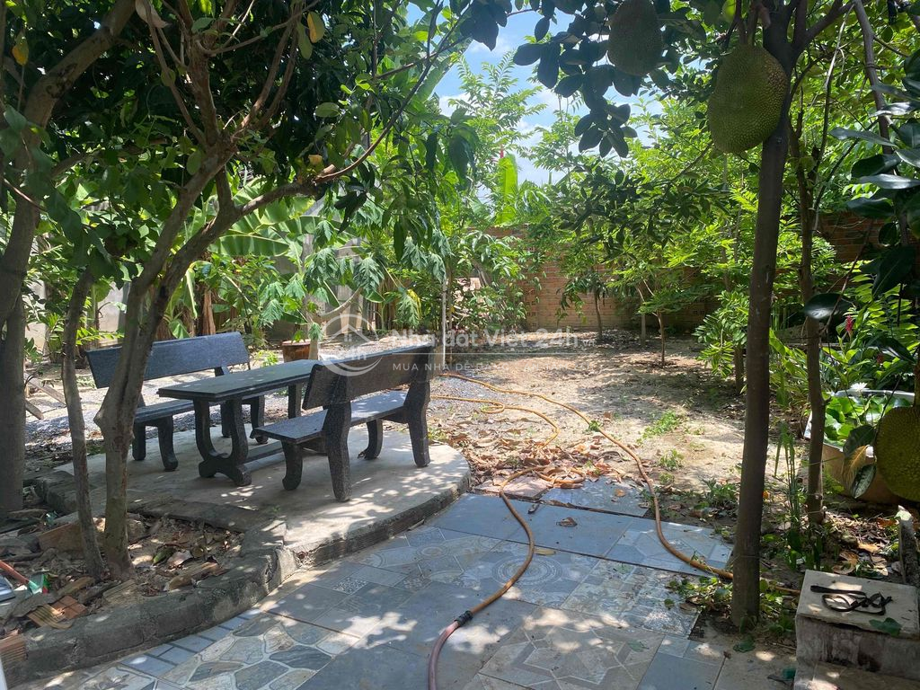 Nhà Mặt Tiền Xuân Phong Nha Trang