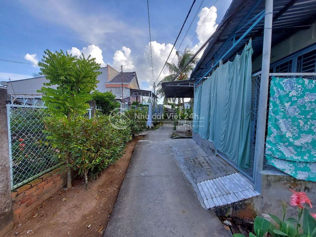nền full thổ cư
