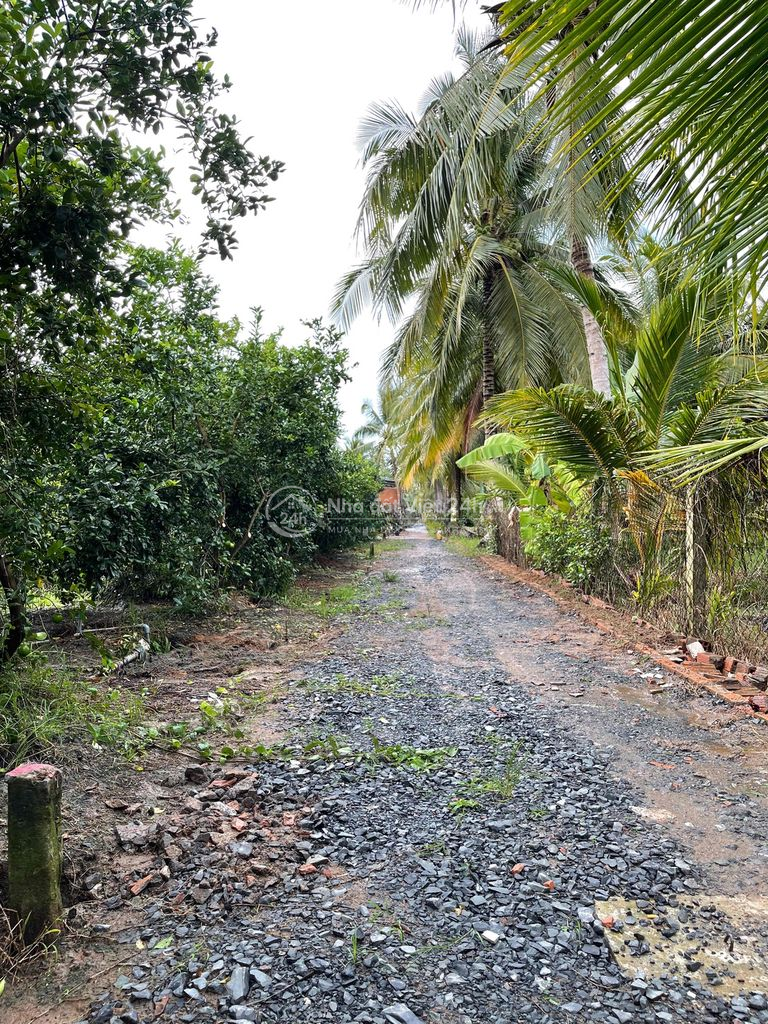 Bán Đất Long Hưng, Tiền Giang, Đồng Tháp. 17,56mx 27m= 474m, đường ôtô