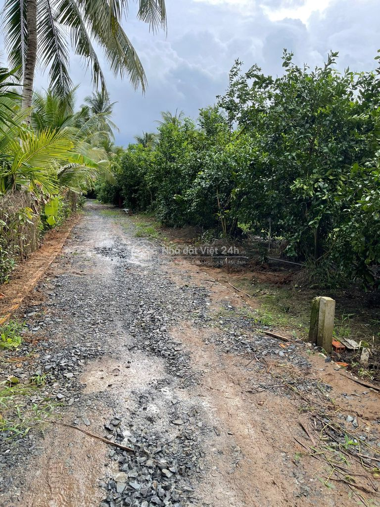 Bán Đất Long Hưng, Tiền Giang, Đồng Tháp. 17,56mx 27m= 474m, đường ôtô