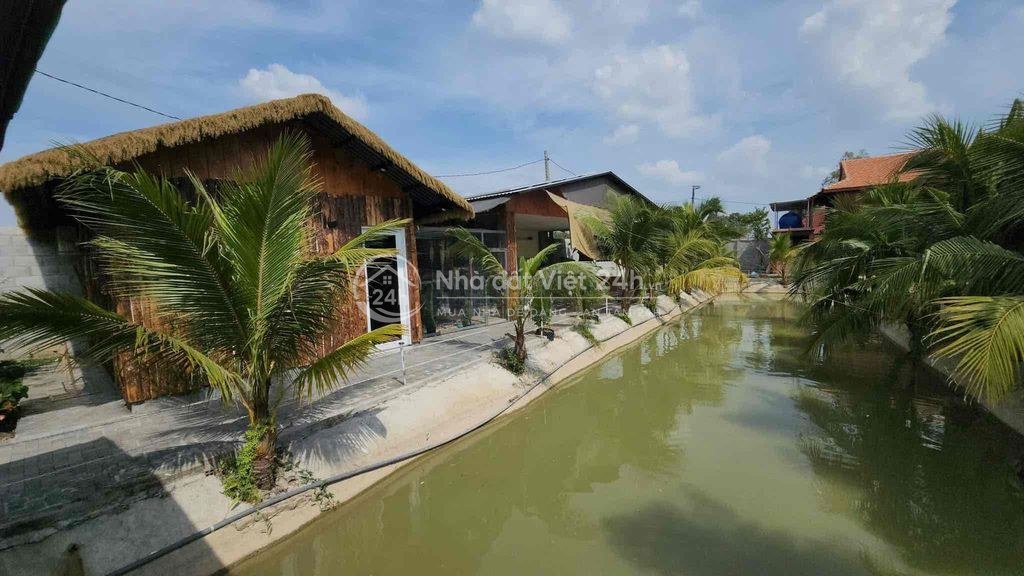 cần cho thuê nguyên khu homestay 3000m2 mặt tiền đường dt825 10 phòng