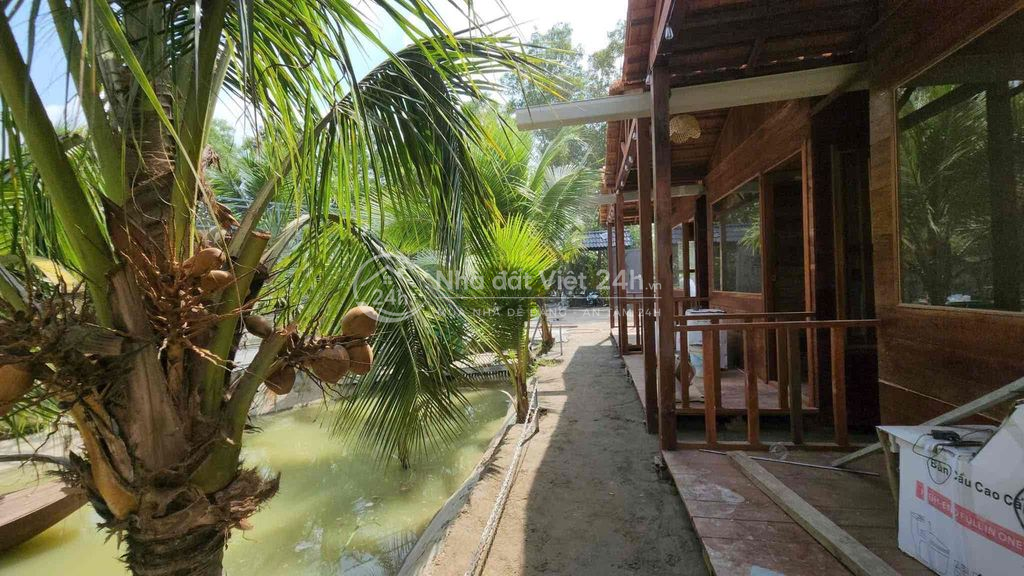 cần cho thuê nguyên khu homestay 3000m2 mặt tiền đường dt825 10 phòng
