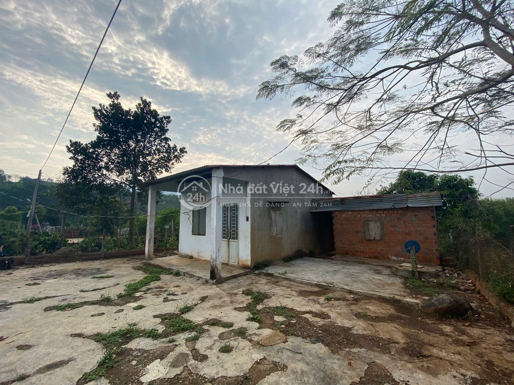 Gia Lai - Bán đất vườn có thổ cư 2766 m2 của gia đình tại Đak Đoa