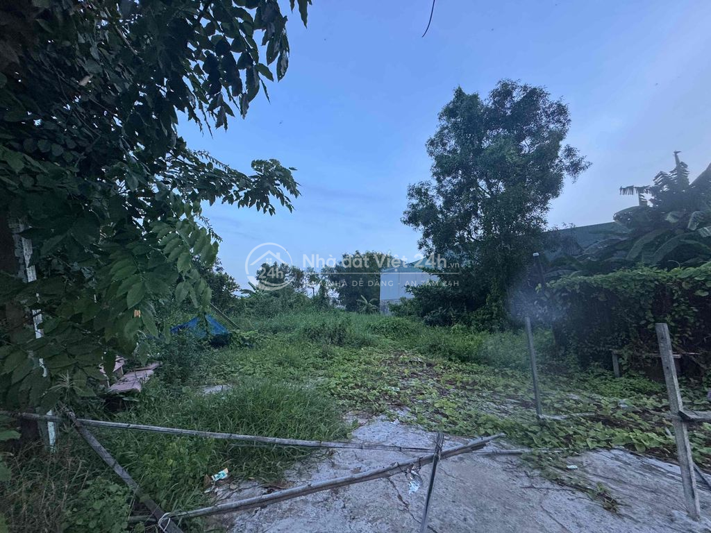 cho thuê 5.000m2 đất trống đường Quốc Lộ 50 - sân thể thao Thành Long