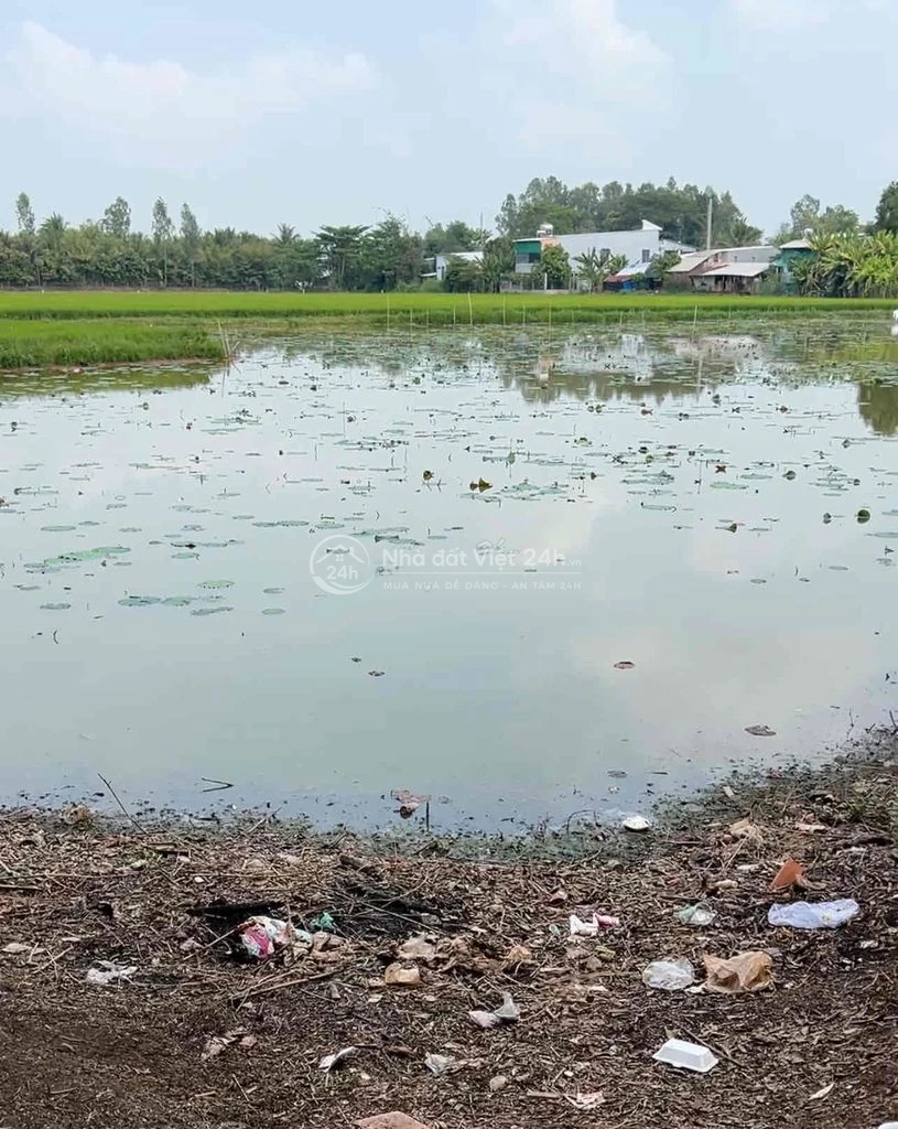 cần bán 7000m2 đất lúa gần cầu cái đôi