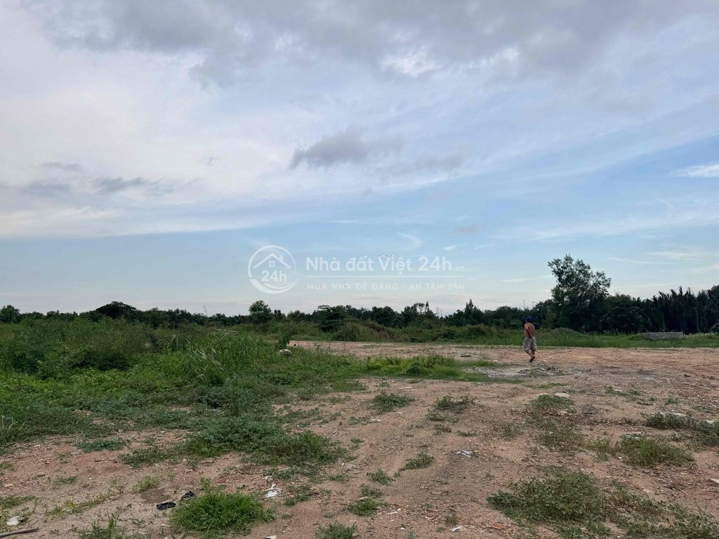 cho thuê đất MT Nguyễn Hữu Thọ 10.000m2 giá 200 tr