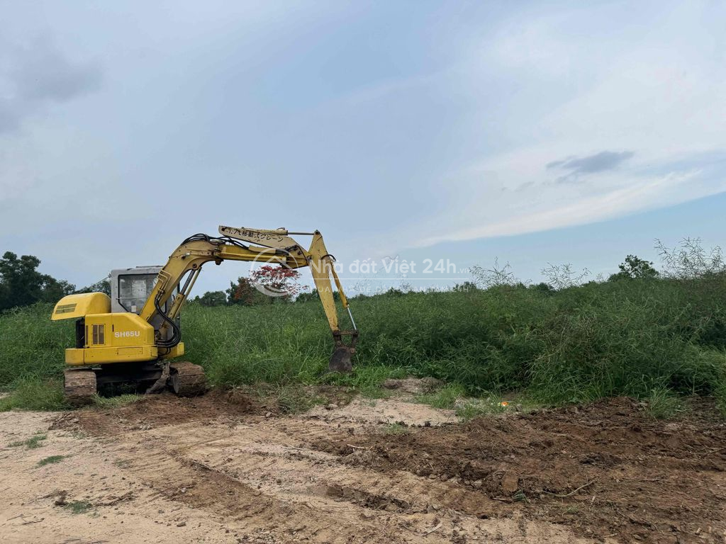 cho thuê đất MT Nguyễn Hữu Thọ 10.000m2 giá 200 tr