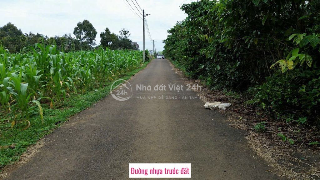Chính chủ cần bán đất tại Lộc Ngãi, cách mỏ boxit Tân Rai khoảng 6km