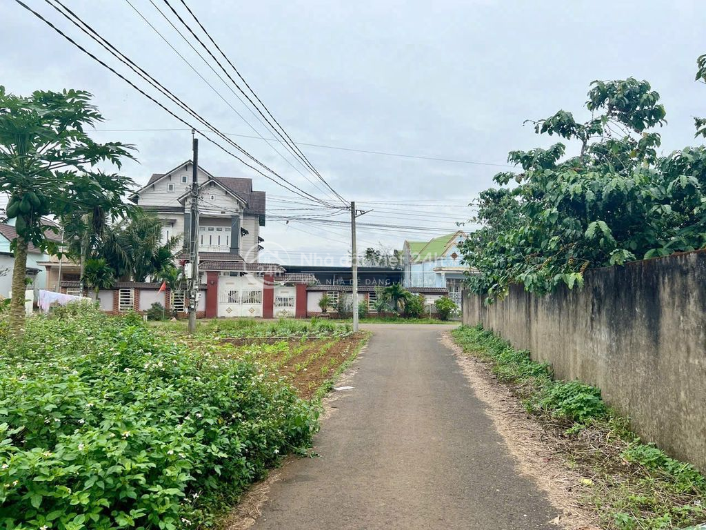 Chính chủ cần bán đất tại Lộc Ngãi, cách mỏ boxit Tân Rai khoảng 6km