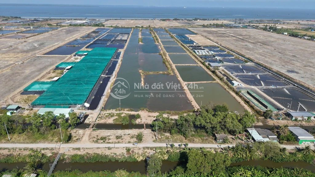 Đất biển gò công kiểng phước gò công