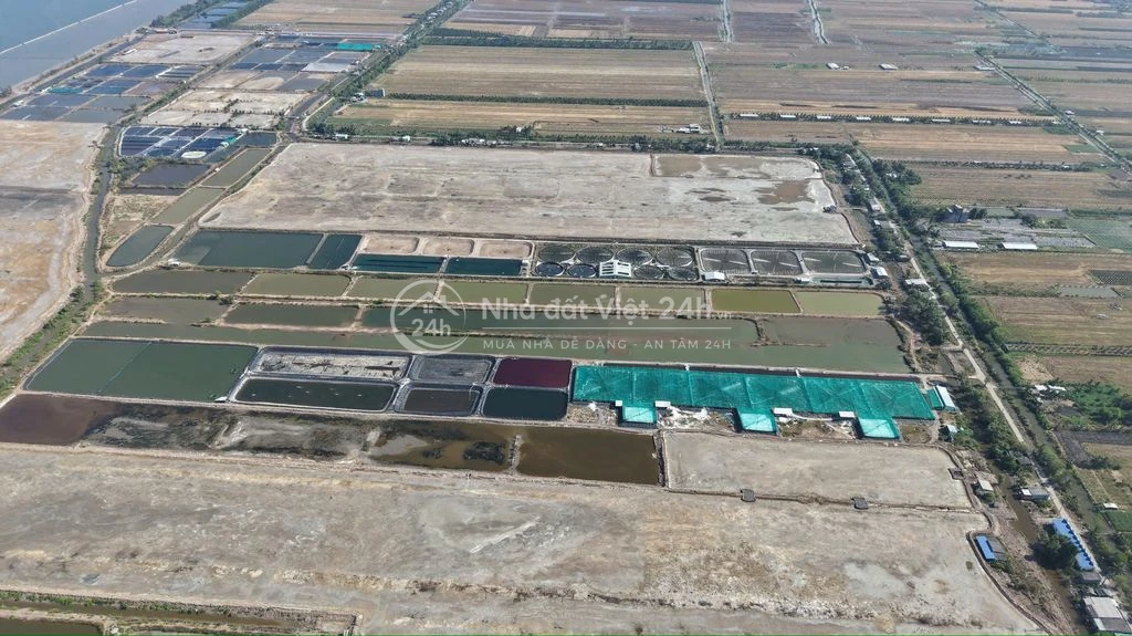 Đất biển gò công kiểng phước gò công