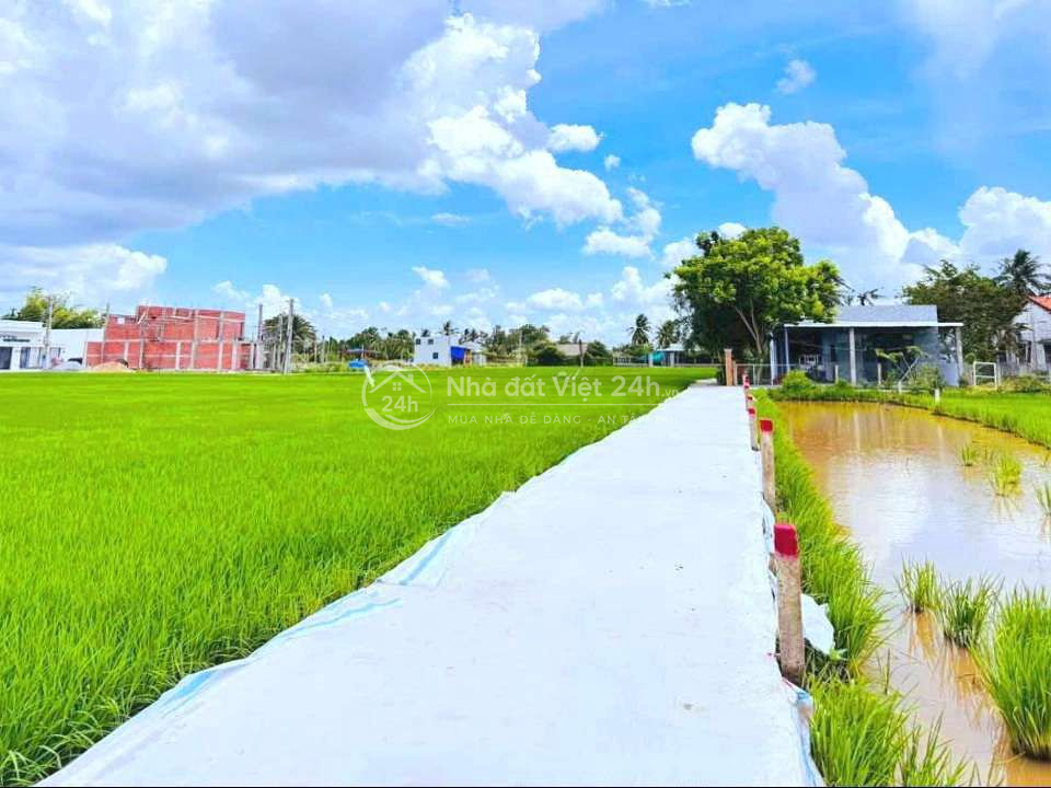 Hàng Vip, 192m² đất thổ sát chợ Tân Trụ, chỉ 400tr