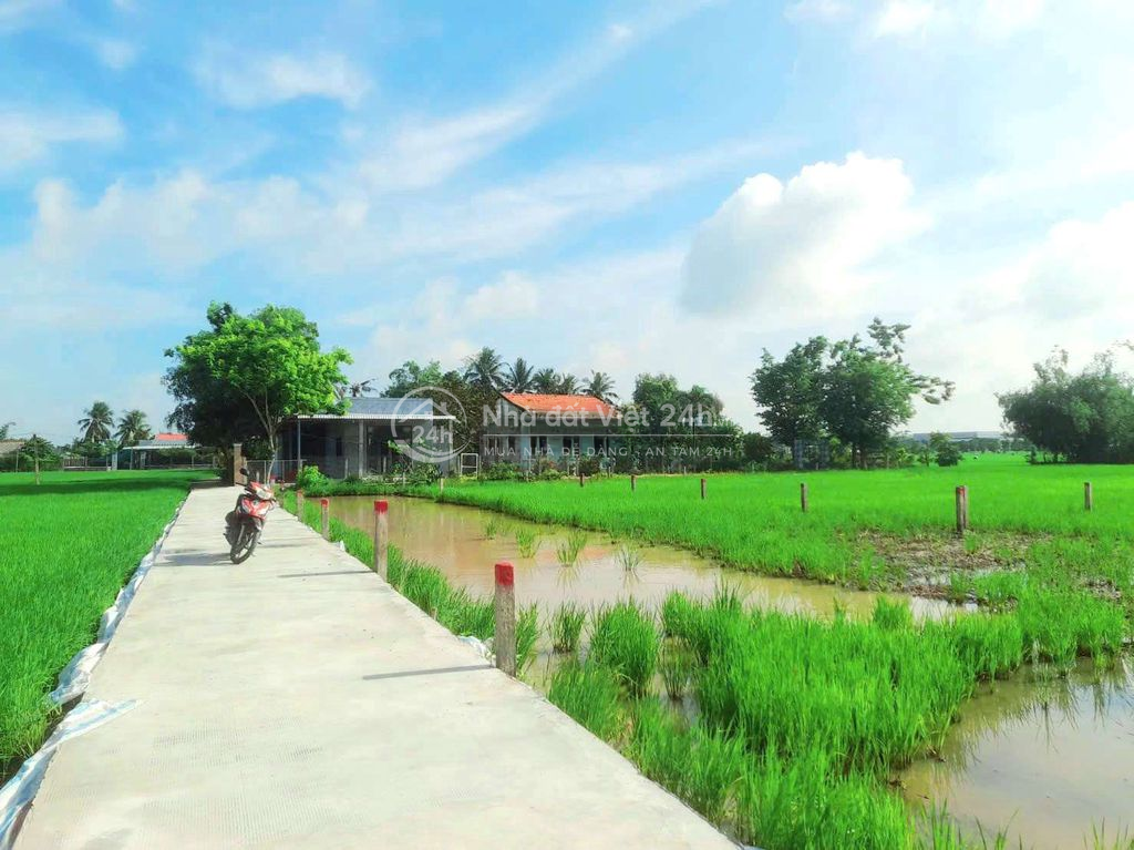 Hàng Vip, 192m² đất thổ sát chợ Tân Trụ, chỉ 400tr