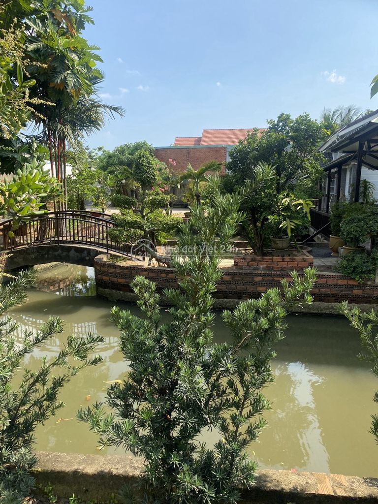 Sở Hữu Resort Mini Ngay Lò Lu, Trường Thạnh – 1900m² – 3 Mặt Giáp Sông