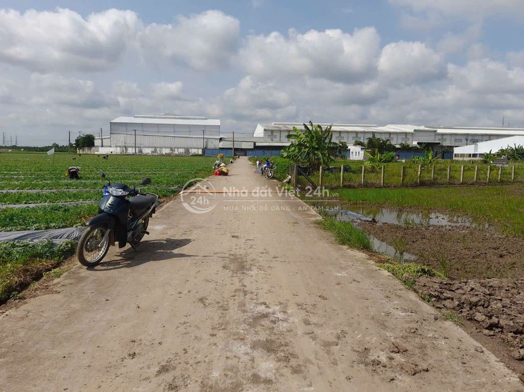 Chỉ 750tr sở hữu 500m² đất vườn gần KCN An Nhựt Tân