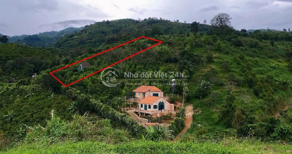 BÁN LÔ ĐẤT TẠI BẢO LỘC