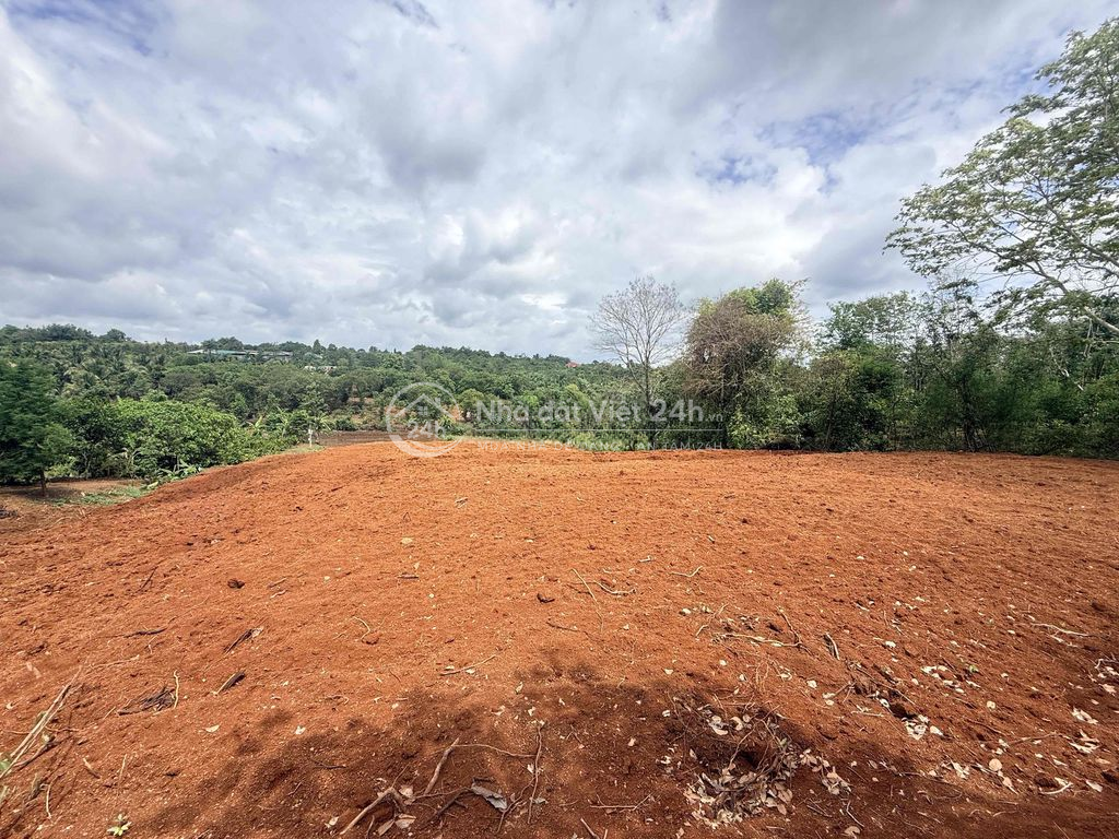 5,5 sào đất đỏ bazan giáp ph. Thành Nhất chỉ 260tr/sào cách phố 12km