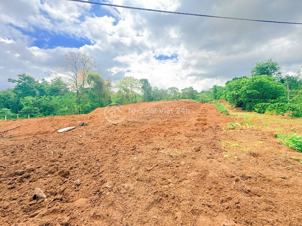 5,5 sào đất đỏ bazan giáp ph. Thành Nhất chỉ 260tr/sào cách phố 12km