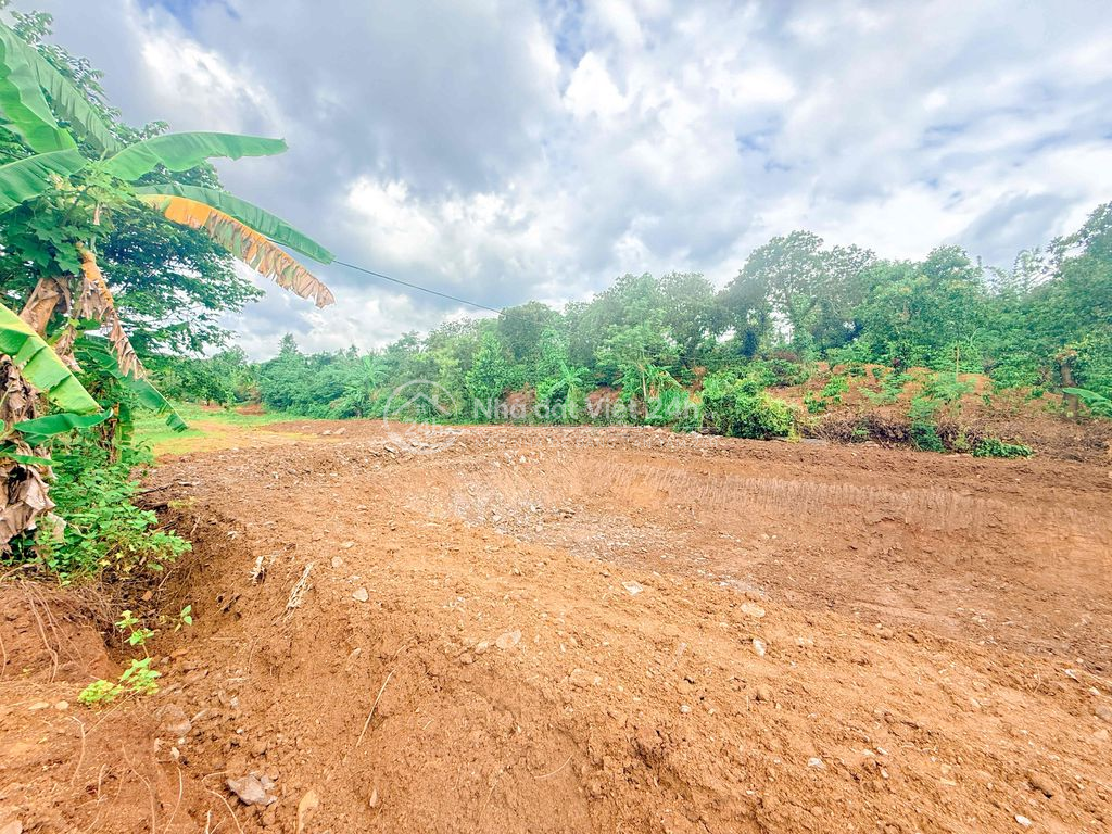 5,5 sào đất đỏ bazan giáp ph. Thành Nhất chỉ 260tr/sào cách phố 12km