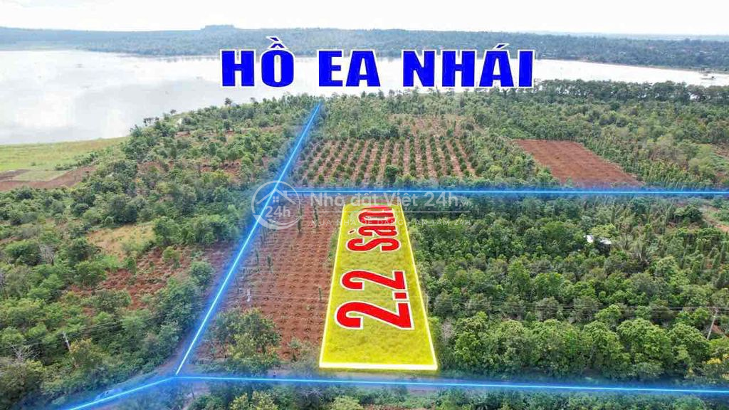 2,1 sào mặt tiền đường nhựa Vành Đai km18 nối tuyến QL14-QL26 1,3 tỷ/s