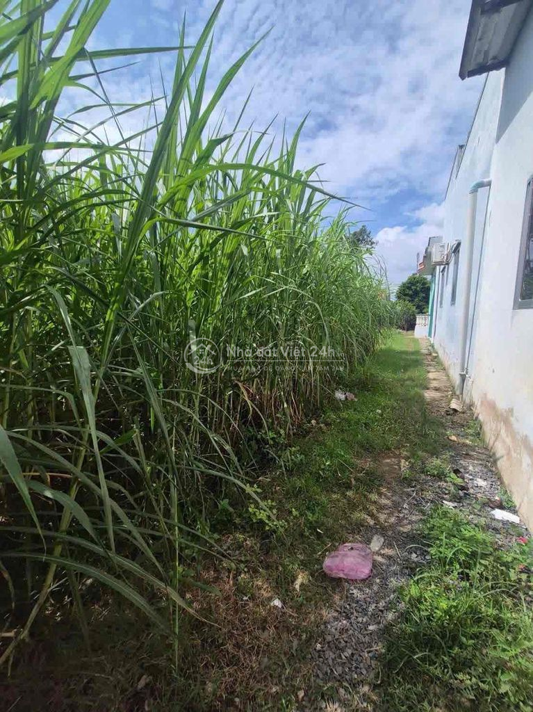 🔥🔥 Bán Đất Mặt Tiền 536mv 150 thổ cư 1ty100  gò công tây tiền giang