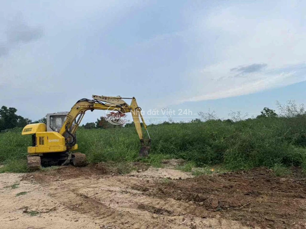 cho thuê đất đường Nguyễn Hữu Thọ 10.000m2 giá rẻ