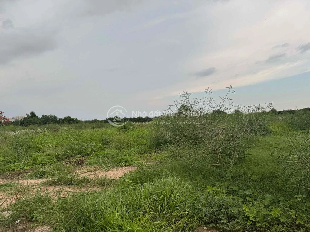 cho thuê đất đường Nguyễn Hữu Thọ 10.000m2 giá rẻ